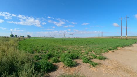 sistema de riego de pivote en un campo de alfalfa en el este del estado de washington