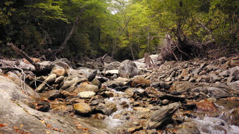 a rocky babbling brook flowing through a deciduous forest - static view