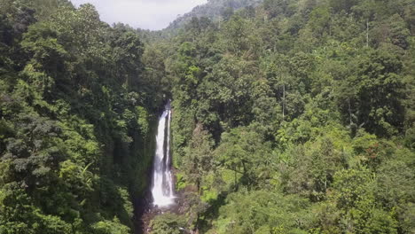 aerial approaches lush green jungle waterfall in north bali mountains