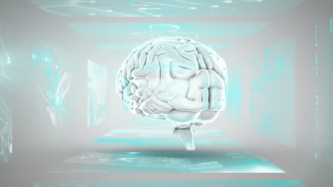 animation of human brain and data processing