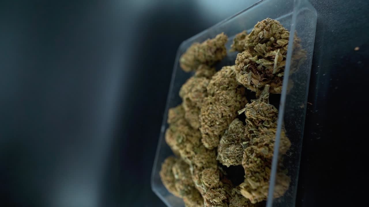 una imagen creativa detallada de un movimiento giratorio de una grúa de una planta de cannabis, flor de marihuana en un plato transparente, cepas híbridas, indica y sativa, cámara lenta de 120 fps en alta definición, iluminación de estudio cinematográfico