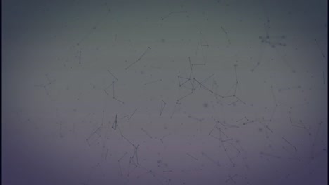 animación de la red de conexiones sobre fondo blanco