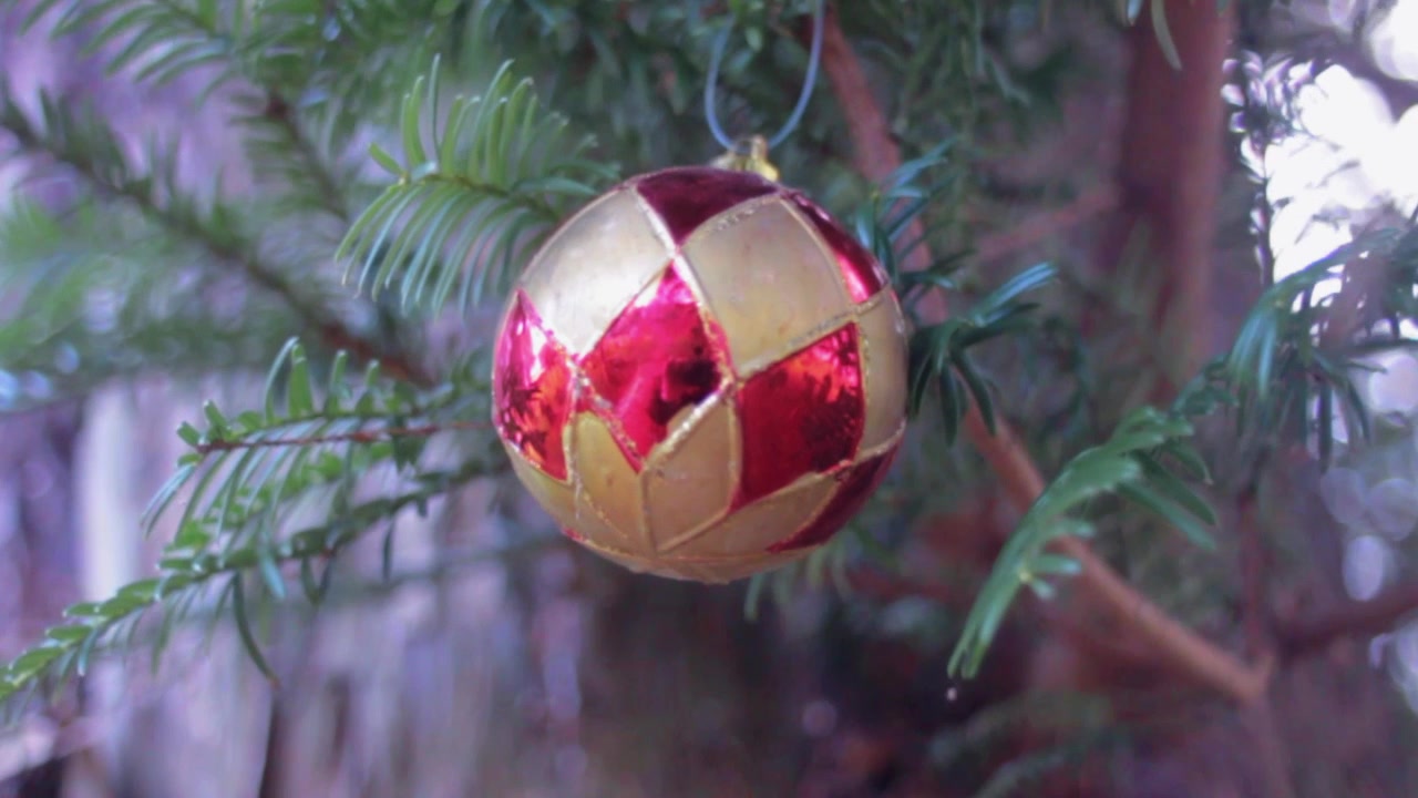 Bola de Natal dourada e vermelha na árvore