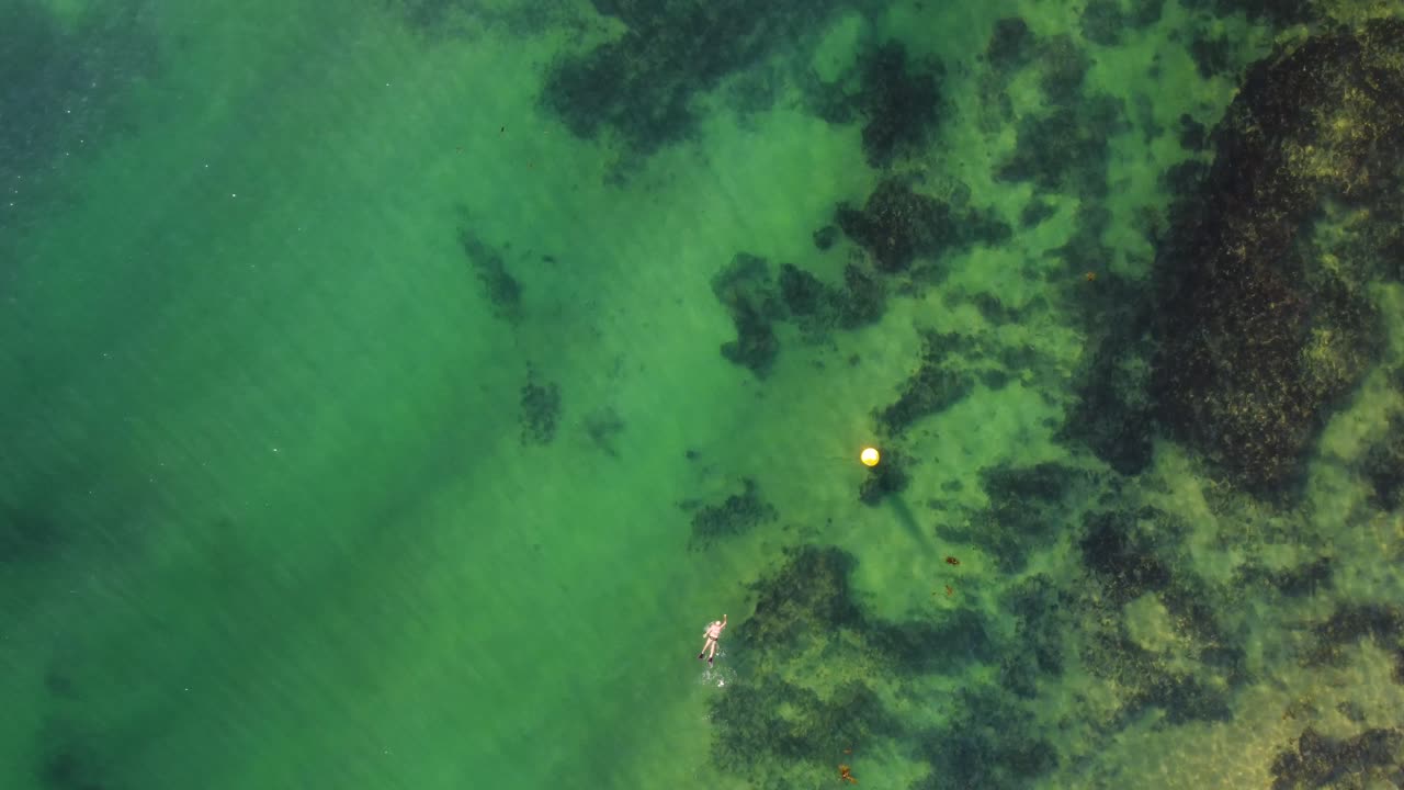Ripresa aerea con drone di nuotatore nell'Oceano Pacifico, sabbia e scogliera, Terrigal, Central Coast NSW Australia 3840x2160 4K