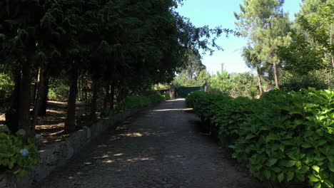 entrada larga de la casa de huéspedes de turismo rural en portugal - saque la toma aérea de ángulo bajo