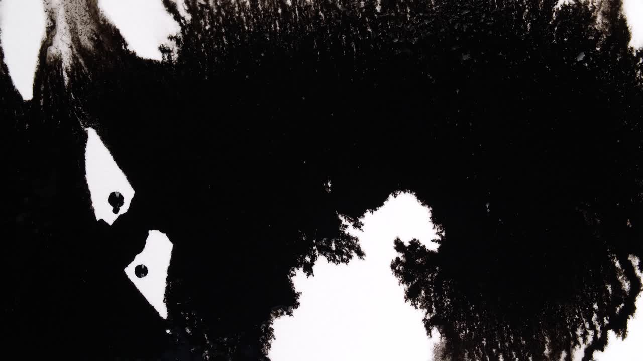 Black Ink Drops On White Background