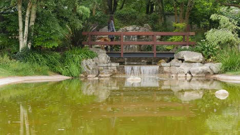 Mujer-Y-Su-Perro-Cruzan-Con-Gracia-El-Puente-De-Madera,-Capturando-Una-Escena-Cautivadora-En-El-Jardín-Del-Círculo-De-La-Vida