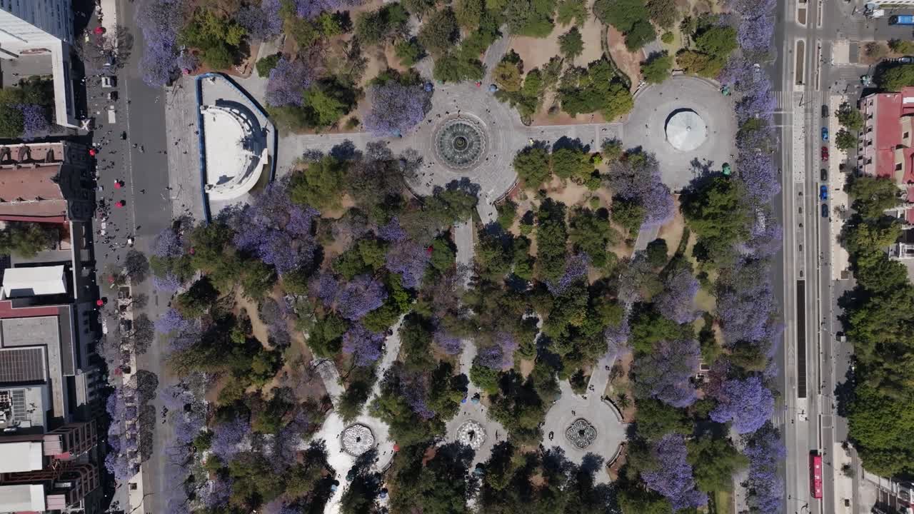 Alameda Park, Mexico City, Morning, aerial shot, nature, Mexico, trees, Big City