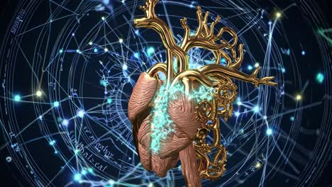 steampunk heart anatomy