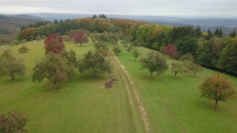 Slow-motion-flying-over-dirt-path-on-mountain-during-fall-season-on-foggy-day