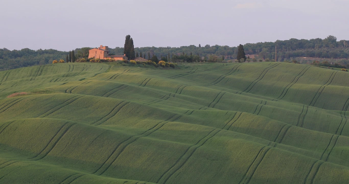 Un casale solitario nella Val d'Orcia in Toscana, Italia. Designata Patrimonio dell'Umanità dall'UNESCO, la Val d'Orcia è un paesaggio dall'estetica distintiva e da pianure gessose piatte