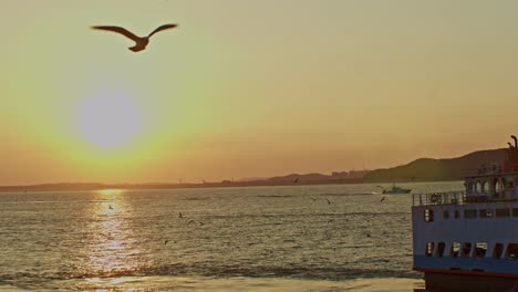 Bonito,-Hermoso,-Pintoresco,-Tranquilo-Y-Encantador-Resplandor-Del-Atardecer-Frente-Al-Mar-Con-Horizonte,-Nubes,-Sol,-Gaviotas,-Barco,-Ferry,-Pájaros,-Agua-Y-Olas,-Vista-Panorámica-Del-Paisaje-De-Gran-Angular