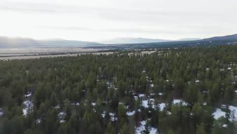 Drone-over-snowy-pine-trees-approaching-the-Rocky-Mountains-in-Colorado-during-sunrise