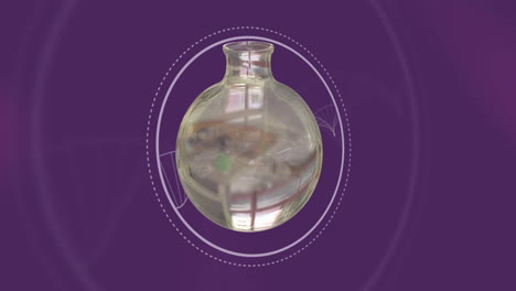 Animation-of-floating-chemistry-flasks-over-dna-chains-on-purple-background