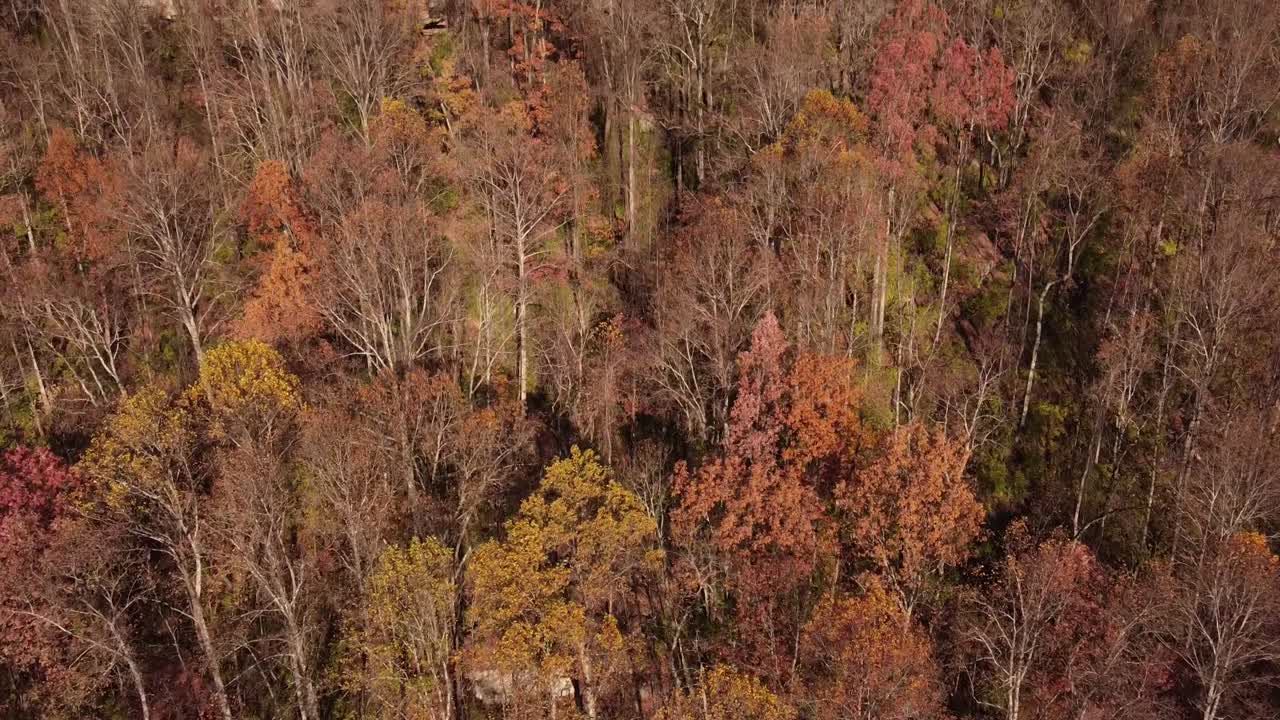 ABD, Chattanooga TN'deki uçurumun eteğinde bulunan Signal Mountain ormanının güzel kuşbakışı görüntüsü.