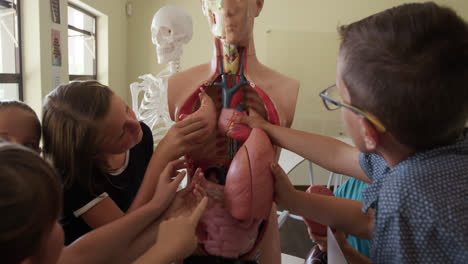 grupo de niños tocando el modelo de anatomía humana