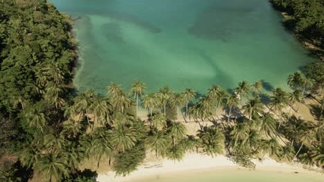 imágenes aéreas lentas de 4k de arriba hacia abajo de una isla tropical unidas por un banco de arena con playa de palmeras