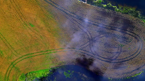 aerial view of autumn marsh landscape