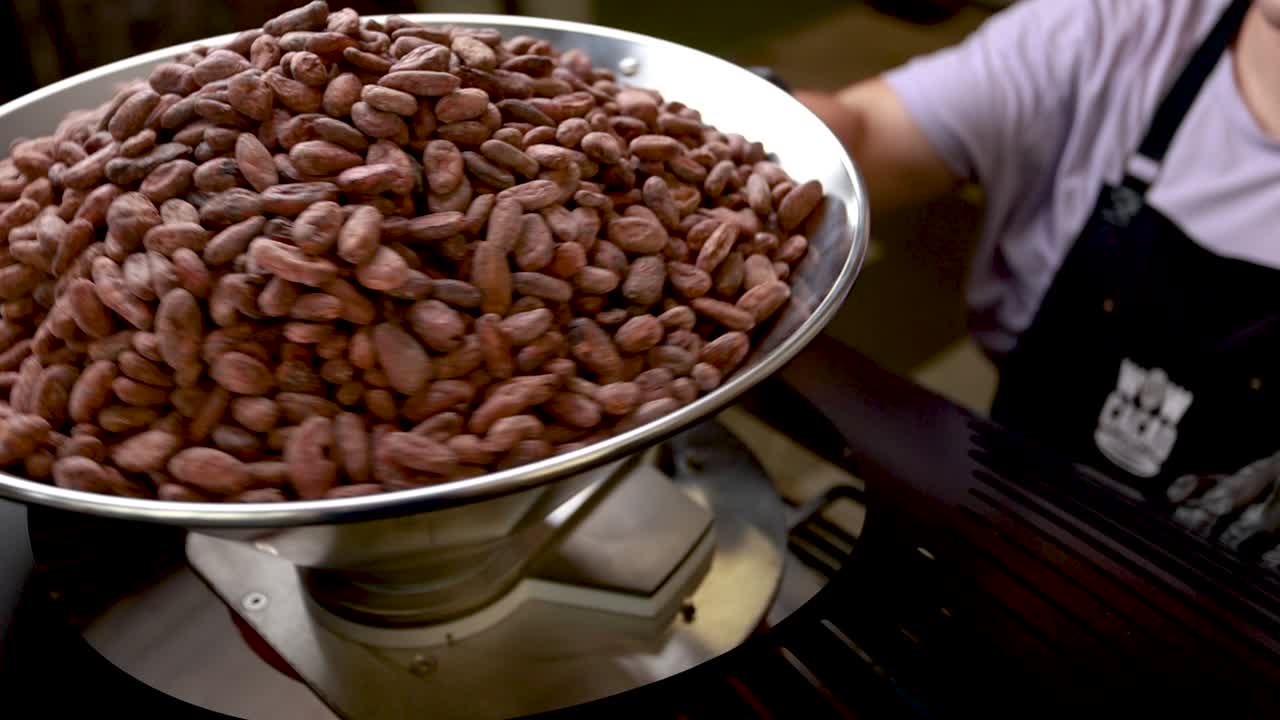 금속 그에 있는 카카오 콩