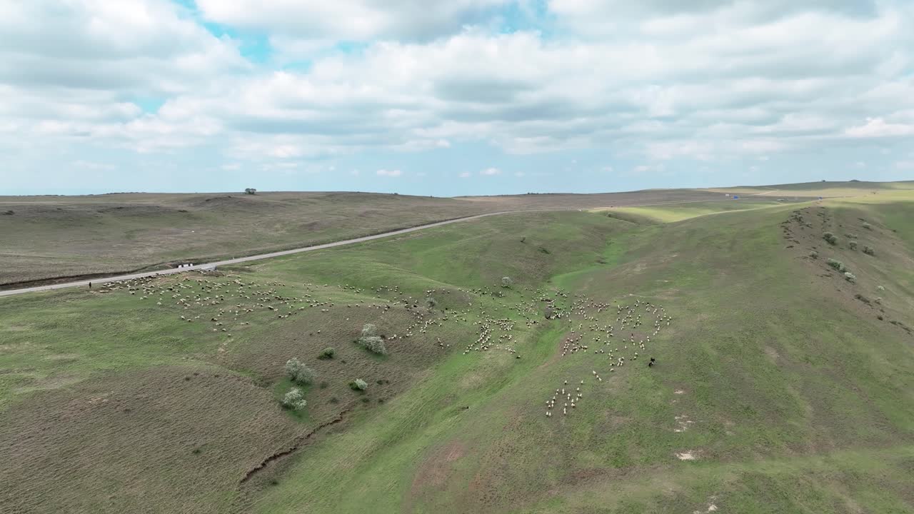 조지아 산맥 에서 양  의 파노라마 뷰 - 드론 촬영