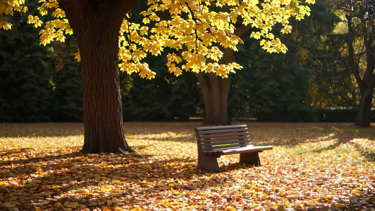 Autumn Park Scene with Empty Bench