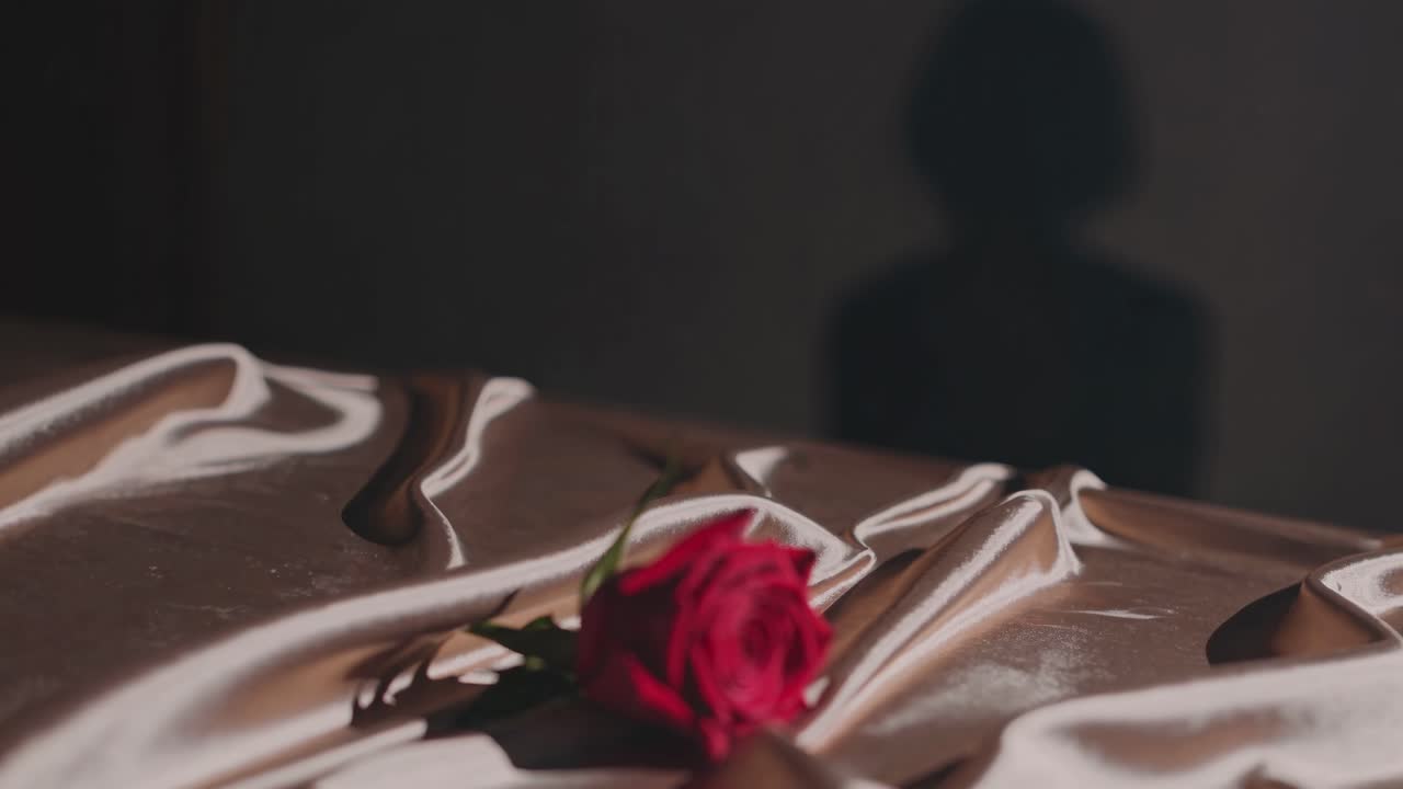 A cinematic close-up of a red rose on silky fabric, with a shadowy silhouette in the background