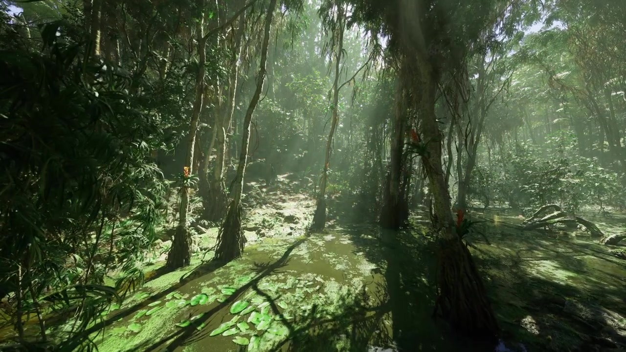 Suaves rayos proyectan sombras sobre la vibrante vegetación del sotobosque y el musgo