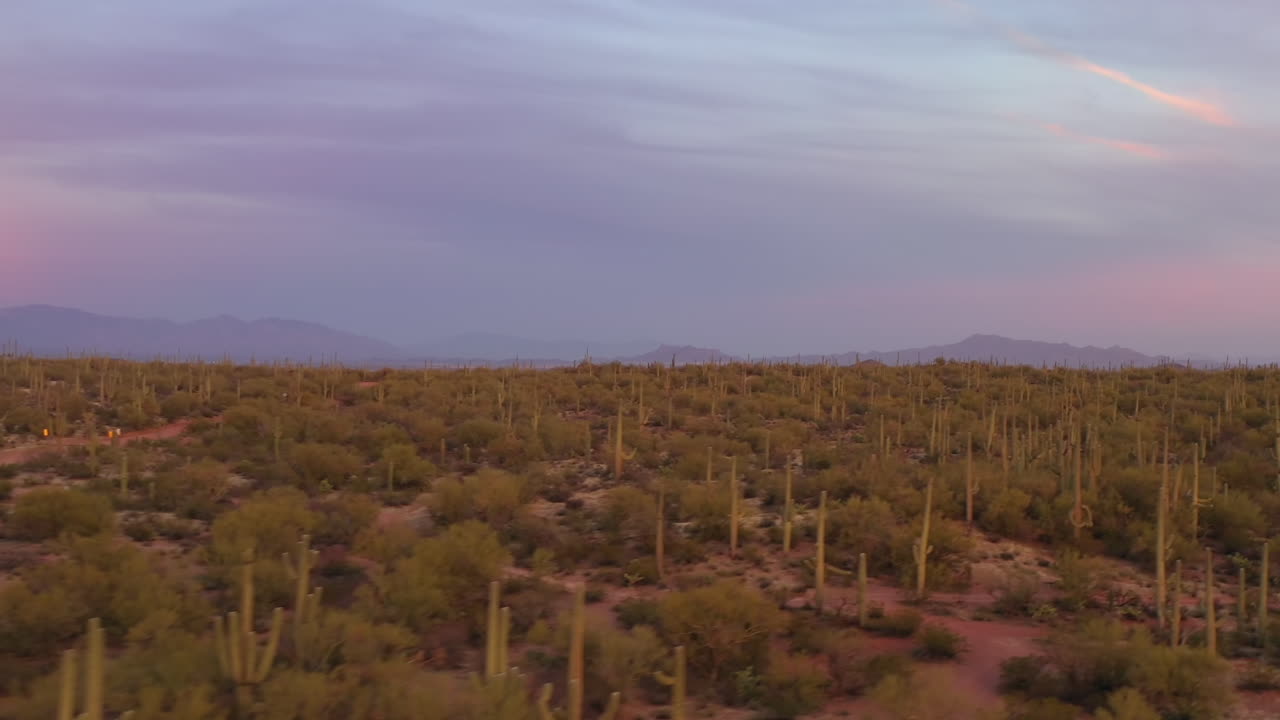 bosque de saguaro en el monumento nacional del bosque de palo fierro en tucson, arizona, sobrevuelo rápido de drones fpv