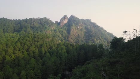 Bosque-Y-Colina-Con-Un-Clima-Ligeramente-Brumoso-Por-La-Mañana-En-La-Colina-Menoreh,-Magelang,-Indonesia