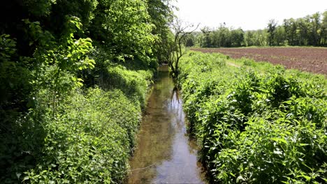 a stream of water flows through a lush green forest