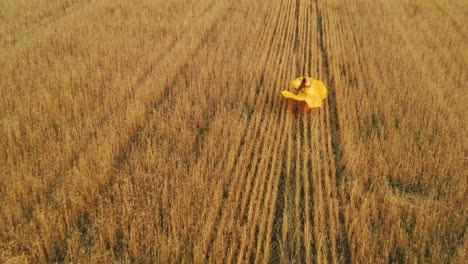 woman running through a golden wheat field