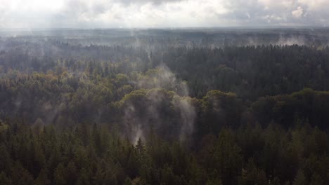 upraising fog over a autumnal forest - impressive shot in 4k by the beauty of nature in the early fall season