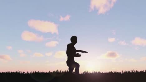 Silhouette-Eines-Aktiven-Mannes,-Der-Bei-Sonnenuntergang-Tai-Chi-Gymnastik-Auf-Der-Wiese-Praktiziert