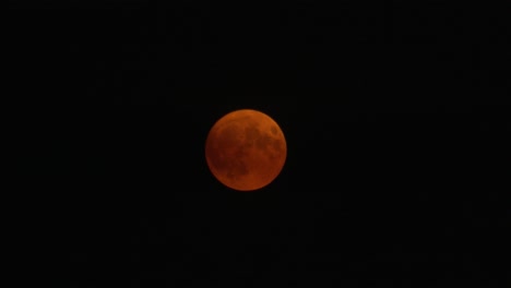 Luna-Llena-Roja-En-La-Noche