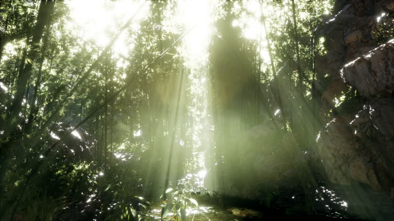 돌이 있는 연못의 연안 근처에 있는 울창한 초록색 대나무 잎.