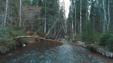 Naturlehrpfad-Cecilu-In-Ieriki,-Lettland