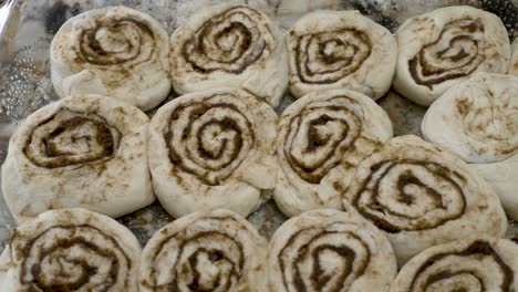 Overhead-sliding-view-of-a-pan-of-raw-cinnamon-rolls