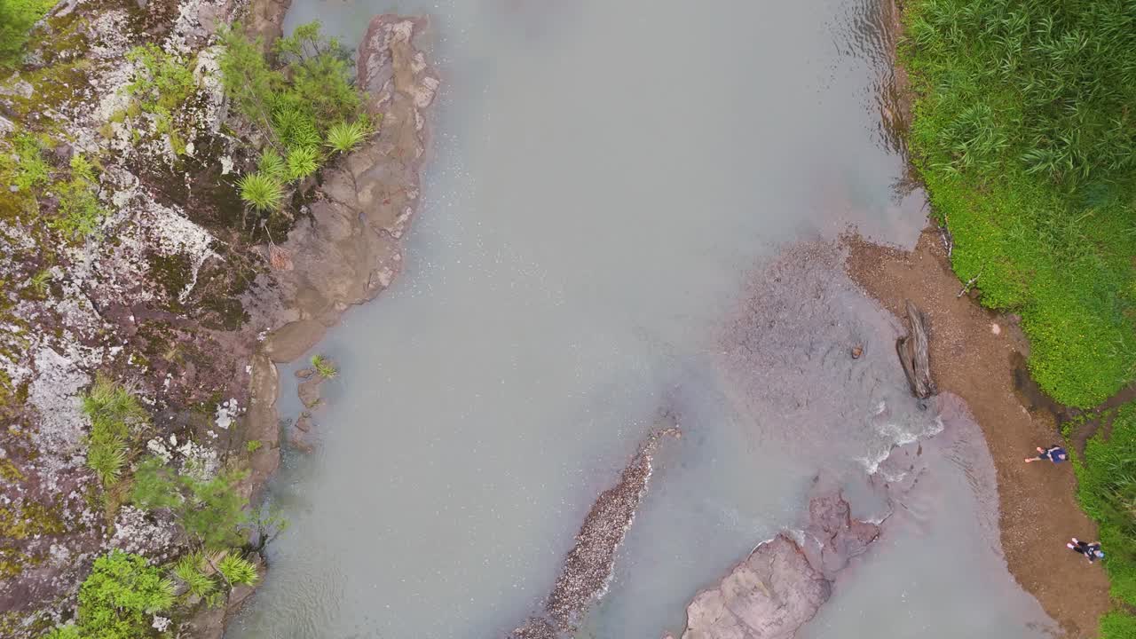 vista aérea de un arroyo en un bosque exuberante