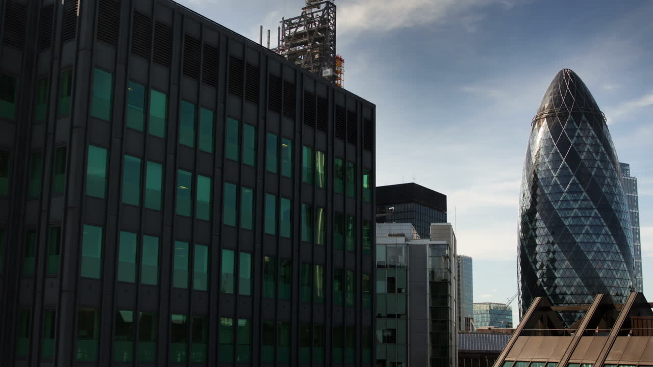 작은 오이 timelapse 팬 00