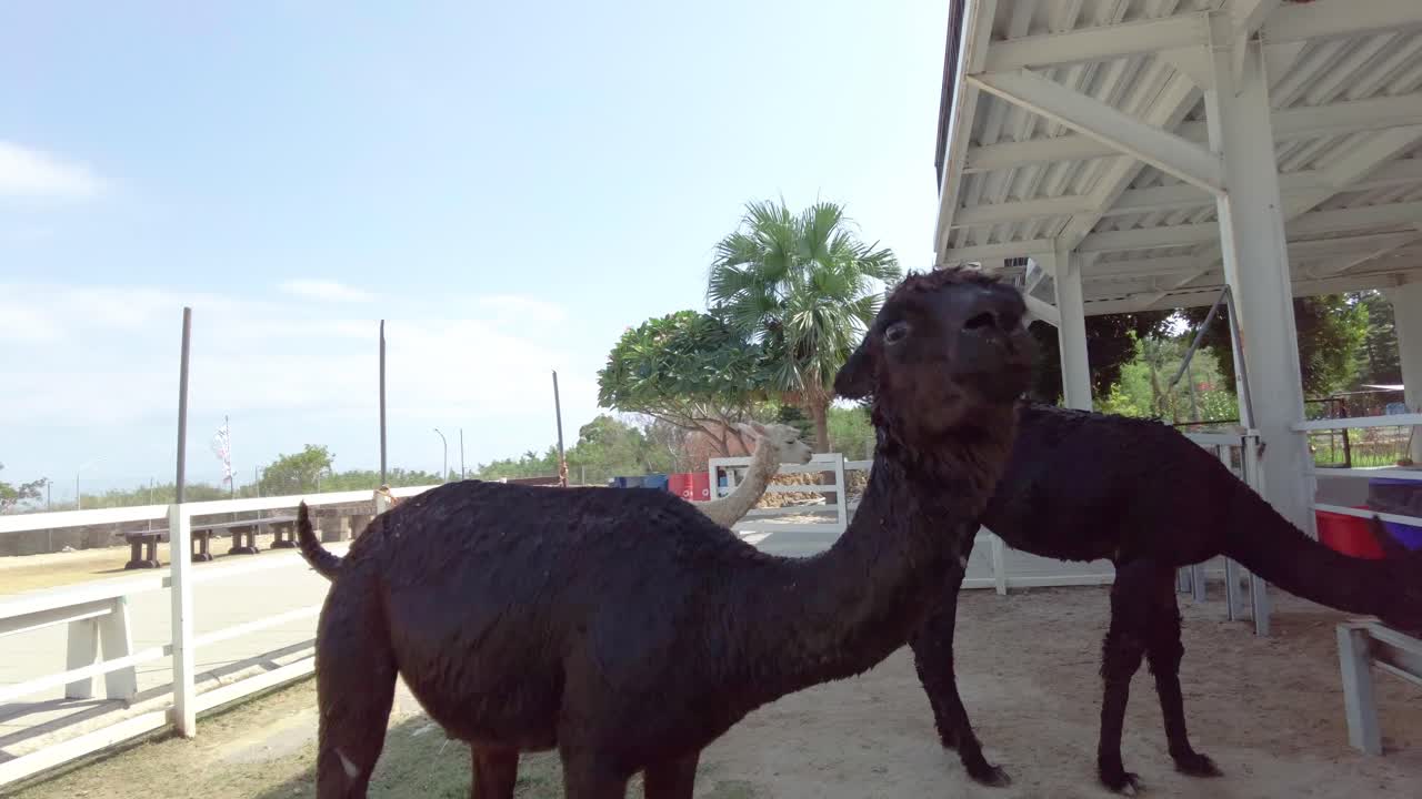 la mejor vista del pequeño liuqiu