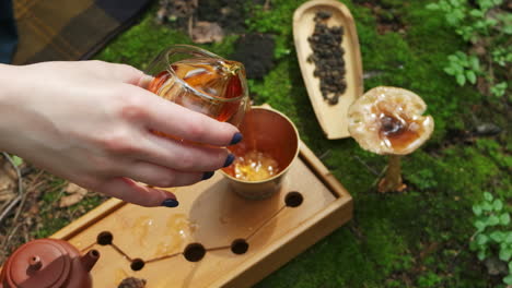 outdoor tea ceremony in the forest