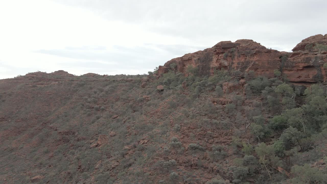 Green Plants On Indigenous Red Sandstone Cliffs Of Kings Canyon At Watarrka National Park In Northern Territory, Australia. - Aerial Shot