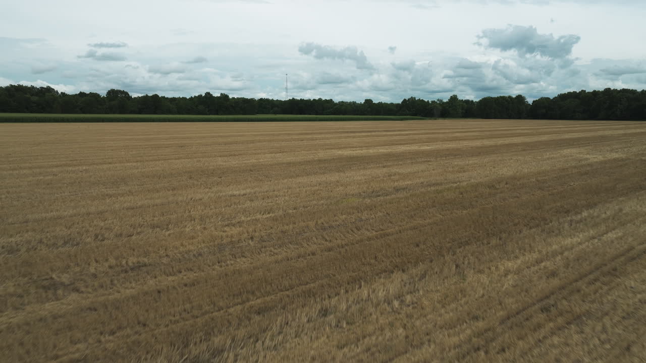 el drone ascendente captura tierras de cultivo serenas y secas con pistas de tractor.