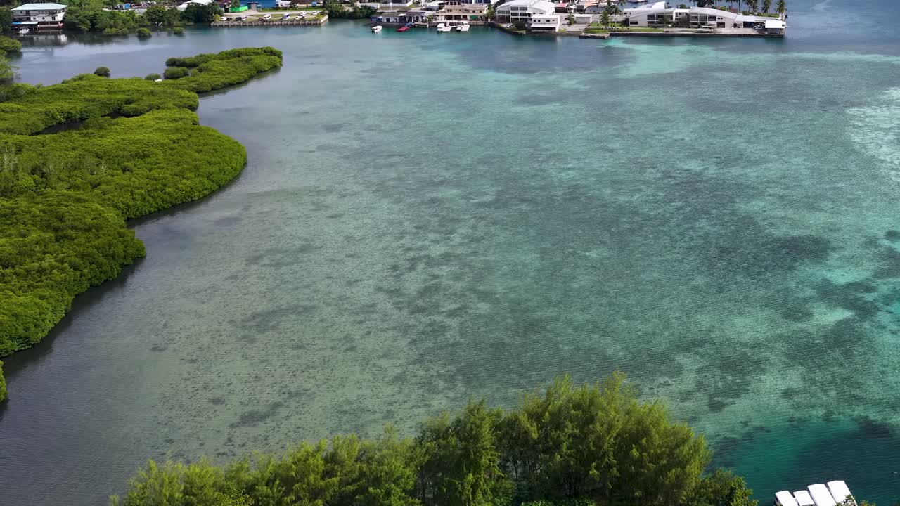 Riprese con drone catturano acqua turchese limpida, rigogliose mangrovie verdi e lo sviluppo costiero a Koror, Palau.