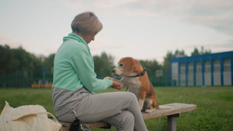 trainer seated on bench in green field patiently teaches golden retriever how to shake hands, holding dog paw with care during outdoor training session near school sports ground