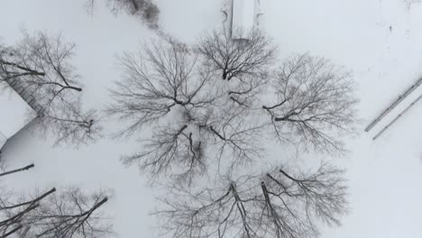 aerial of a quiet idyllic snow-covered property with a circular drive and large outbuilding on an undisturbed winter day