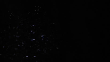 bajo el tranquilo cielo nocturno, delicados copos de nieve descienden suavemente, capturando el suave resplandor de mientras ilumina sus intrincadas formas cristalinas