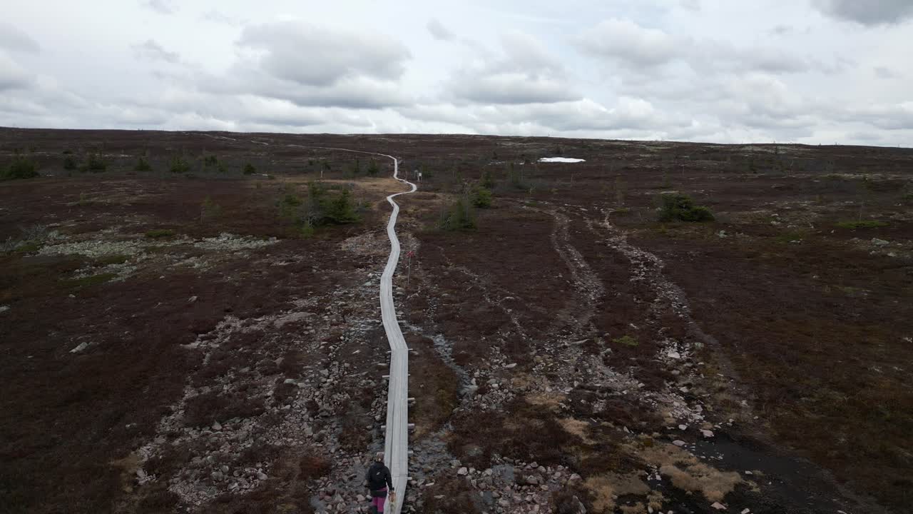 una mujer y su pequeño perro caminando por un camino de tablones en las montañas suecas