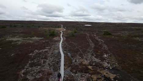 a woman and her small dog walking on a plank path in the swedish mountains