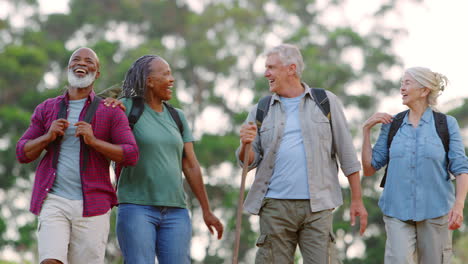 Eine-Gruppe-Aktiver-Seniorenfreunde-Genießt-Das-Wandern-Durch-Die-Landschaft-Und-Geht-Gemeinsam-Entlang-Der-Strecke